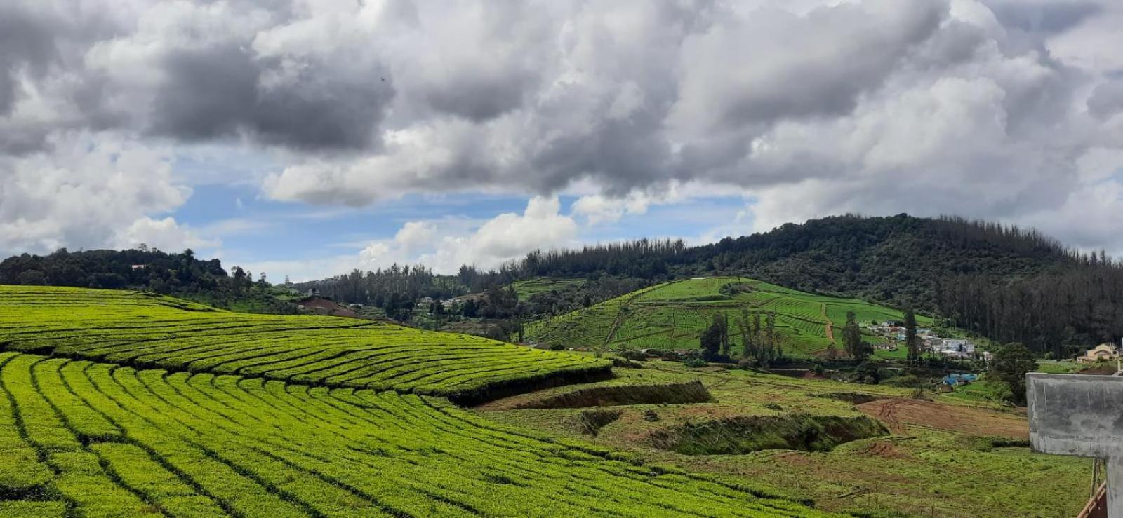 Rose Garden Enclave For Families & Executives Bed & Breakfast Ooty Bagian luar foto