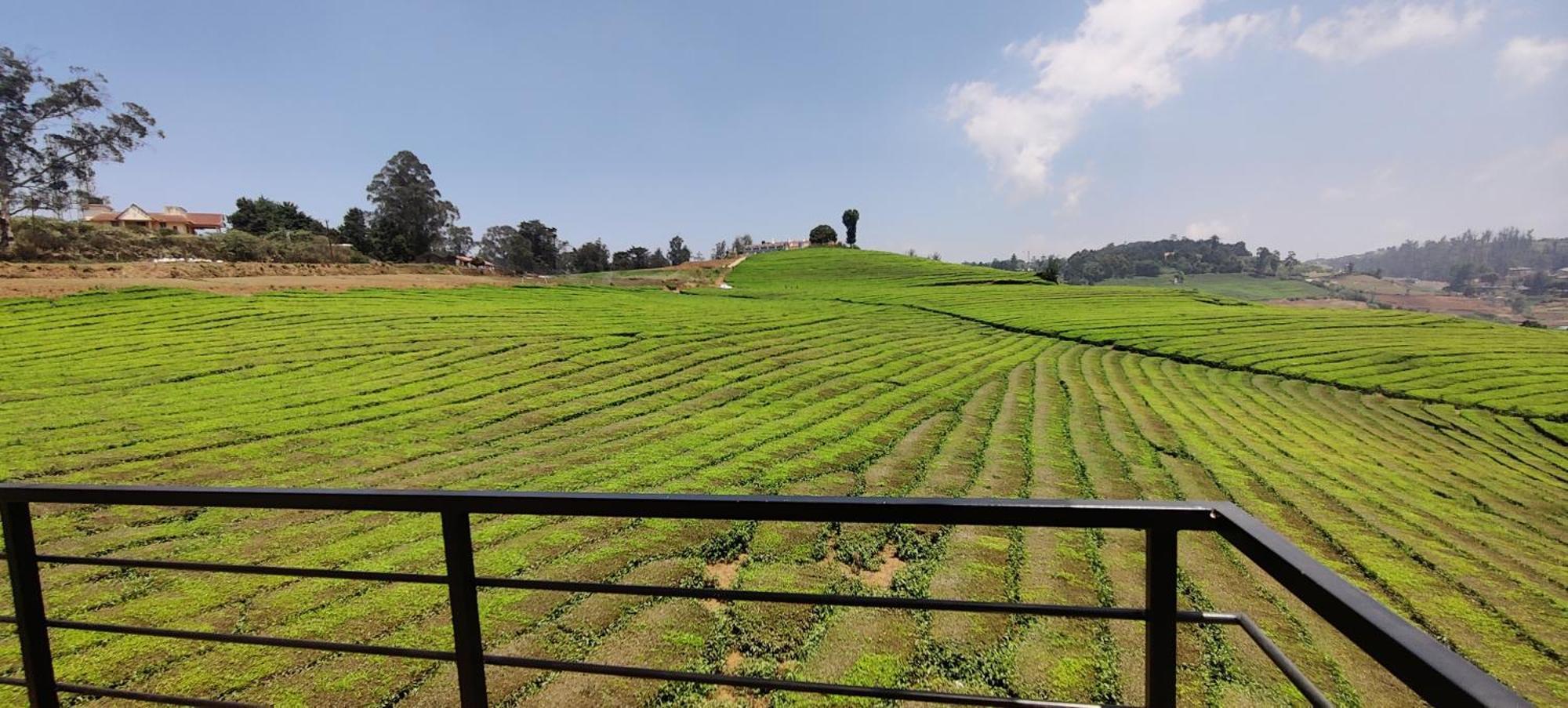 Rose Garden Enclave For Families & Executives Bed & Breakfast Ooty Bagian luar foto